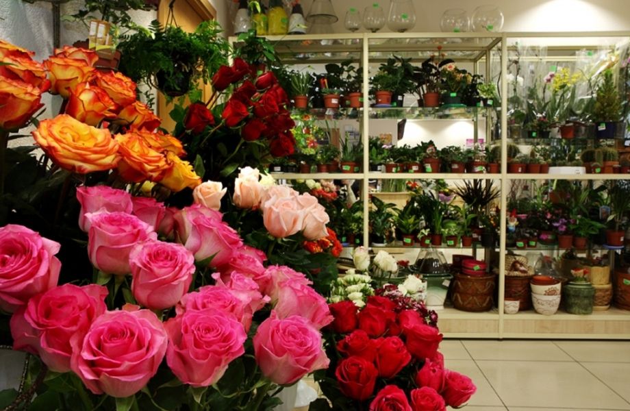 Где Купить Недорогие Живые Цветы