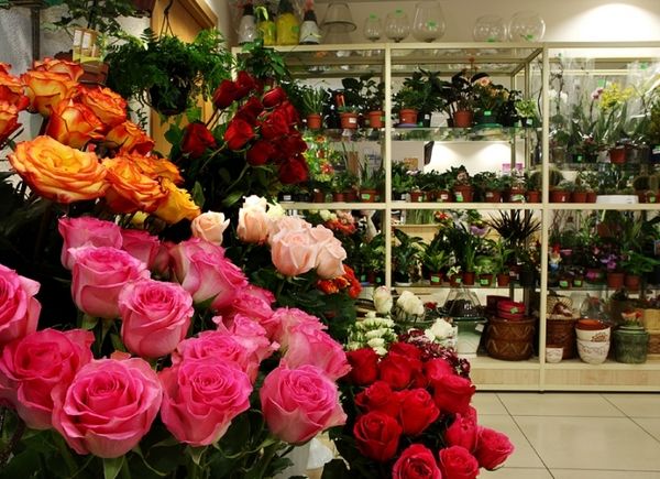 Где Купить Розы В Москве