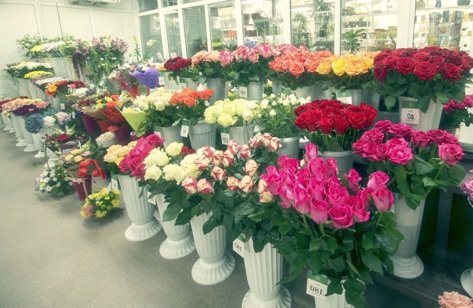 Где Можно Купить Цветы В Архангельске