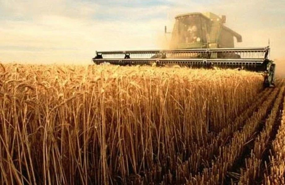 Фото 3 Агропромышленный комплекс в Ростовской области