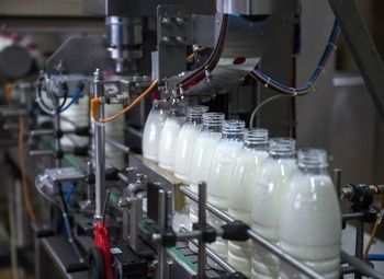 Завод по производству молочной и кисломолочной продукции