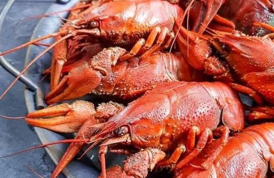 Бизнес по доставке деликатесной готовой еды, подтвержденная прибыль