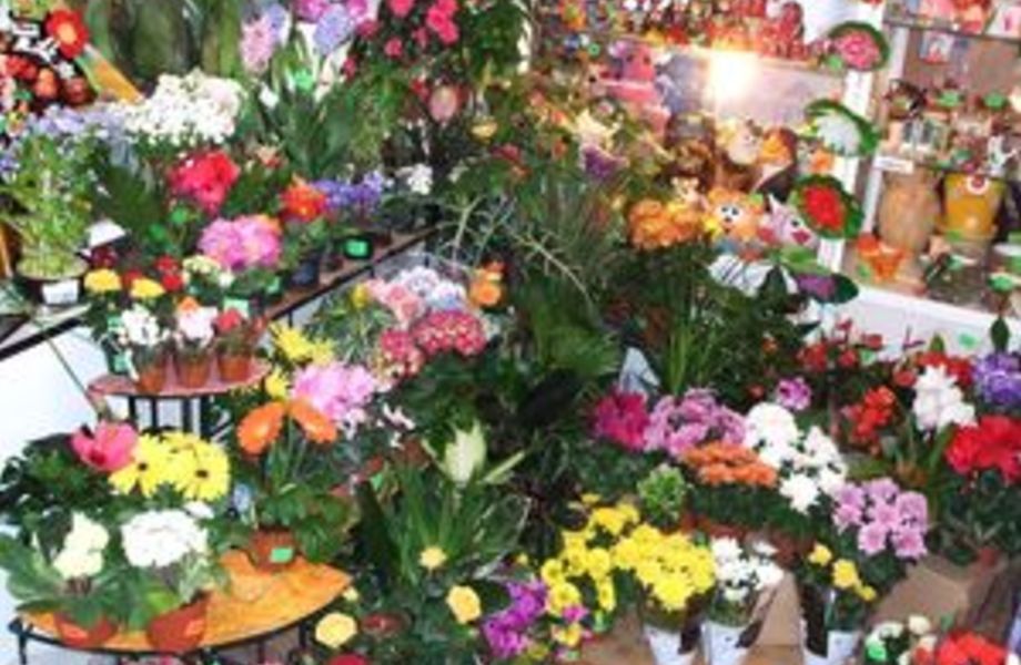 Прибыльный магазин и сувениров и цветов