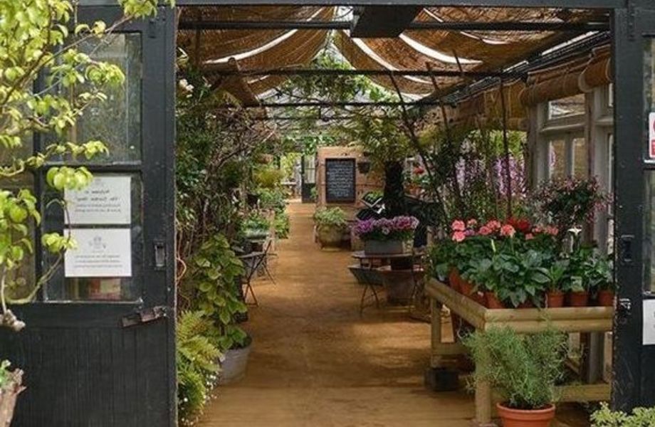 Магазин растений и товаров для сада
