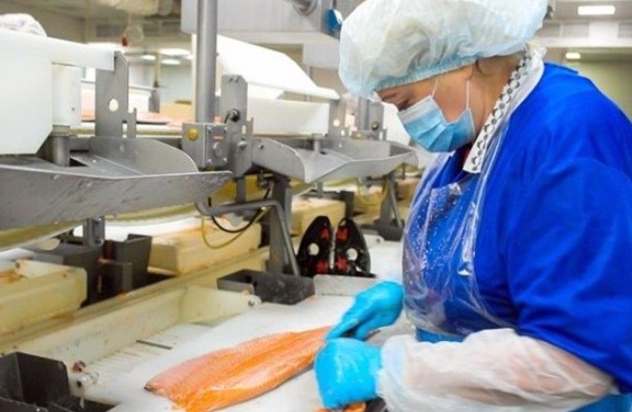 Производство и поставка готовой рыбной продукции по всей России /доля 