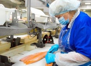 Производство и поставка готовой рыбной продукции по всей России /доля 