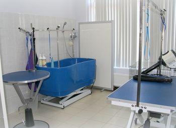 Фото 2 Зоомагазин на базе груминг салона с передержкой