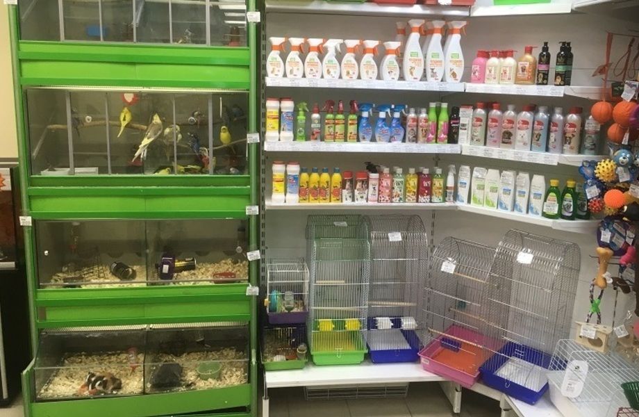 Фото 2 Зоомагазин со стабильной прибылью и налаженными бизнес-процессами