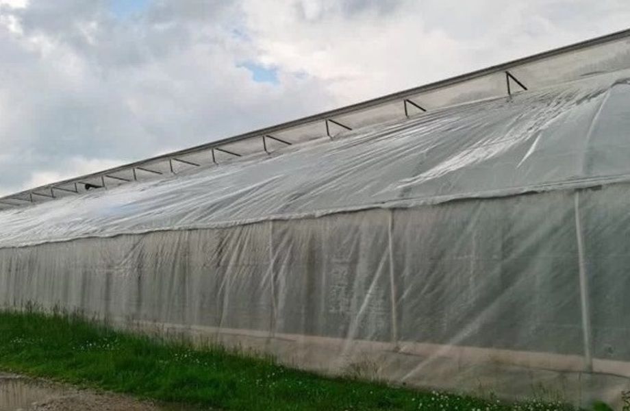 Фото 3 Тепличный агрокомплекс / С базой сбыта продукции