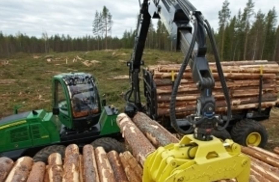 Готовый бизнес по лесозаготовке, с арендой на 49 лет