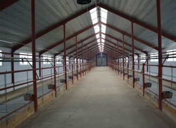 Готовый бизнес молочная ферма собственность 40Га