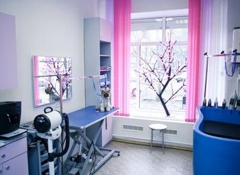 Фото 2 Груминг салон в центре