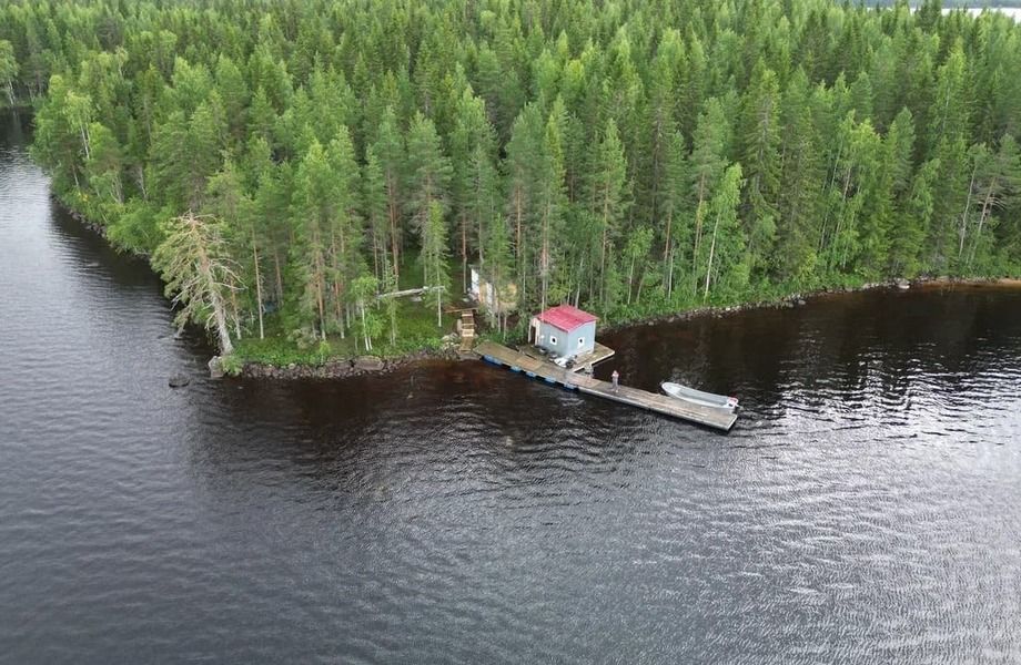 Форелевое хозяйство / До 450 тонн форели 