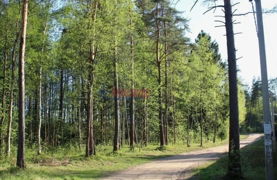 Участок в Лен. области у водоёма под базу отдыха