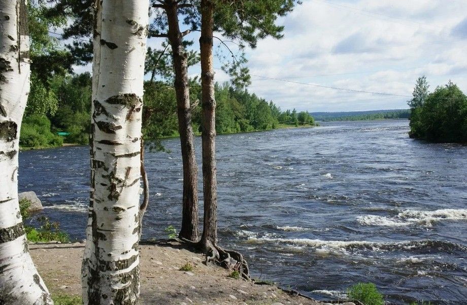 Турбаза в Лосево 