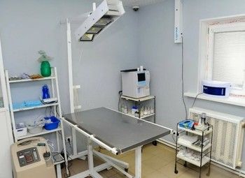 Фото 3 Ветеринарная клиника в центре у новых застроек