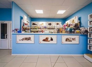 Фото 2 Ветеринарная клиника в центре у новых застроек