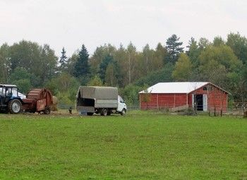 Фото Фермерское хозяйство в ЛО