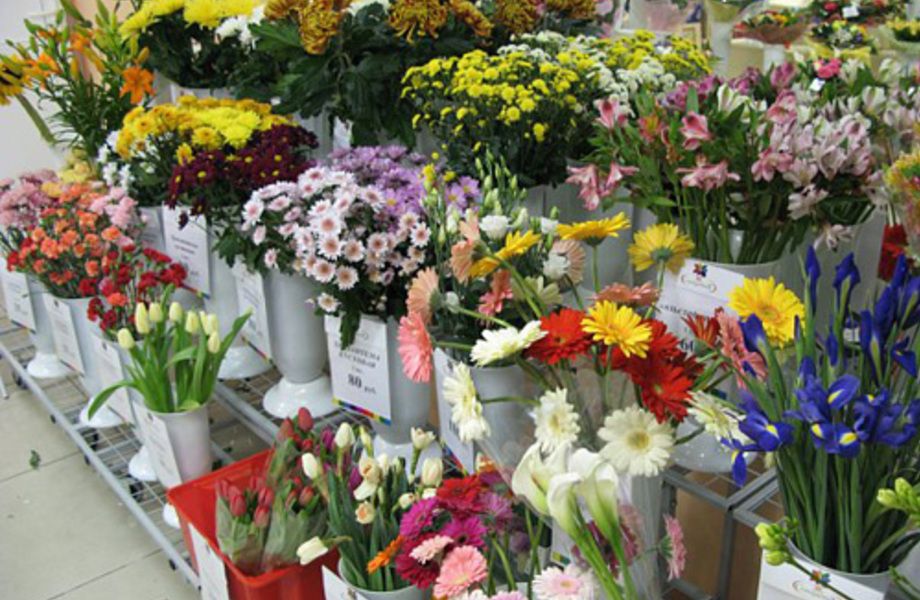 Цветочный Магазин По Цене Оборудования