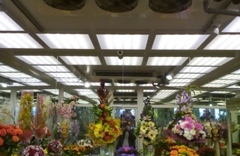 Цветочный Магазин на Севере Города