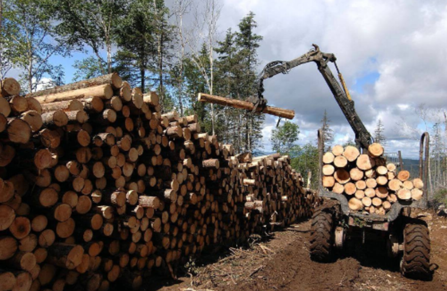 Предприятие деревопереработки с высоким доходом в Архангельске