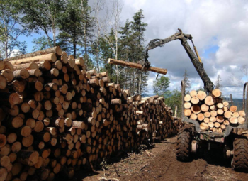 Предприятие деревопереработки с высоким доходом в Архангельске