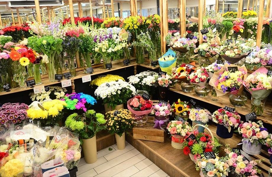 Купить цветы рядом в спб ростовые цветы для интерьера купить