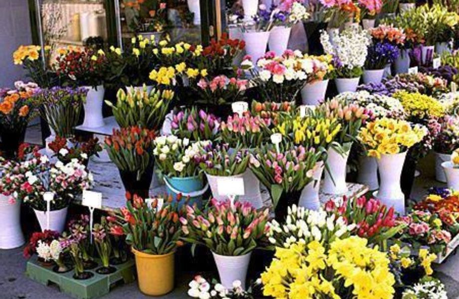 Цветочная барахолка старая. Уличная торговля цветами. Цветочный рынок в Европе. Красивый цветочный магазин. Уличная торговля тюльпанами.