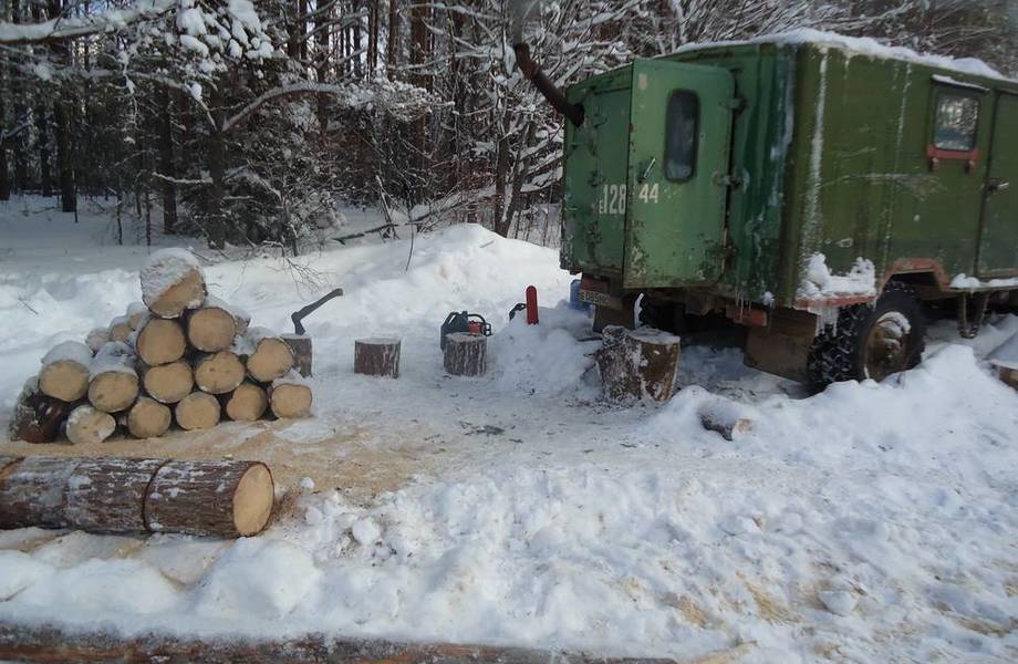 Лесозаготовка в Ленинградской области на участке в собственность