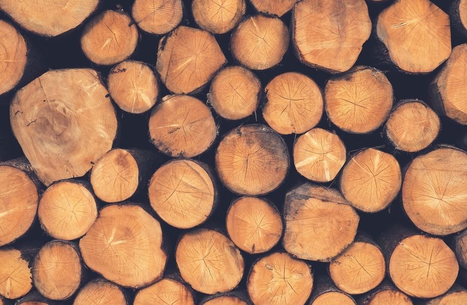 Прибыльное лесопильное производство и производство дров