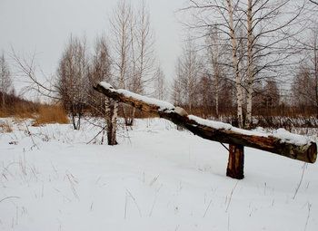 Фото 3 ППА Охотничьих угодий