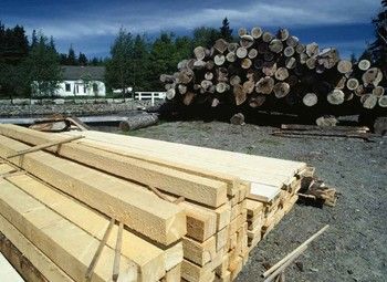 Фото Пилорама с подтвержденным доходом - 300.000