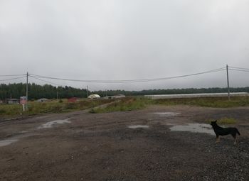 Фото 4 Фермерское хозяйство с новым оборудованием