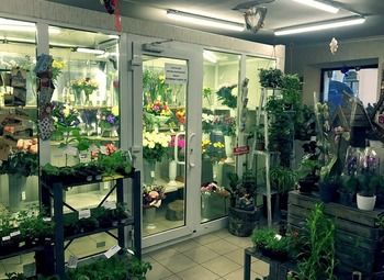 Фото Цветочный магазин в г. Колпино