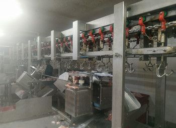 Фото Линия разделки птицы. Компактное производство в Москве