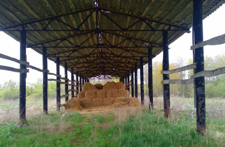 Калуга.Основа животноводческого комплекса на 1200 коров с землей