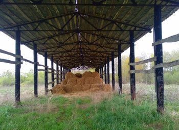 Калуга.Основа животноводческого комплекса на 1200 коров с землей