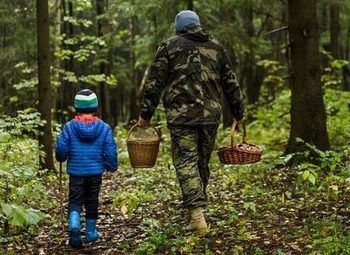 Фото База отдыха на берегу реки \Под дальнейшее развитие