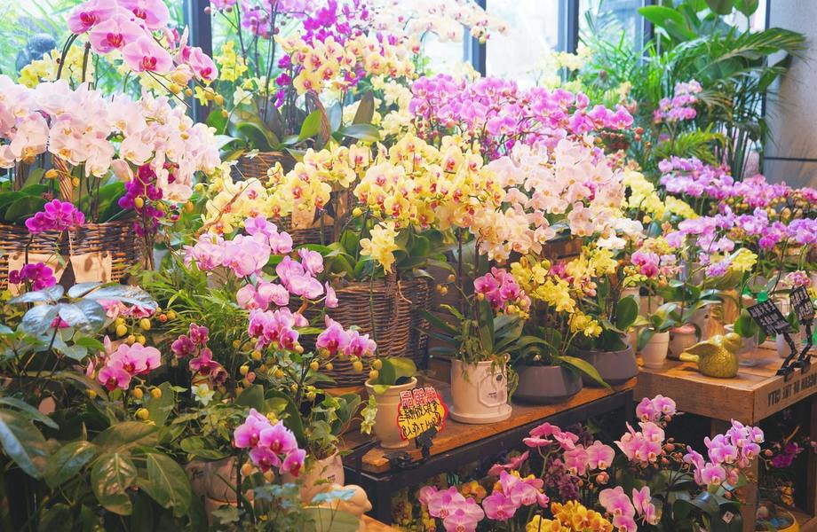 Цветочный магазин с удачной локацией у метро