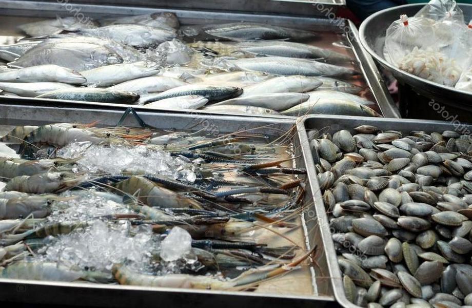 Поставка рыбы и морепродуктов с подтвержденной прибылью 500 т.р.