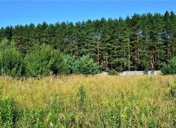 Фото 2 Участок с прекрасным видом и перспективами в с. д. Дятлицы / КФХ 10Га