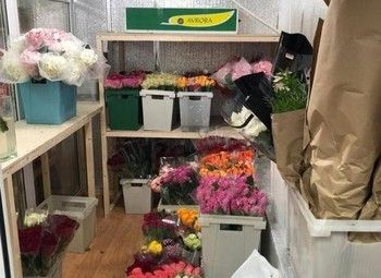 Розничный магазин цветов с низкой арендой и интернет-сайтом