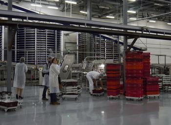 Фото Крупный хлебозавод недалеко от Санкт-Петербурга