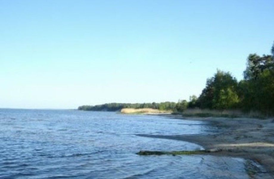 Земельный участок на берегу (Калининградский залив)