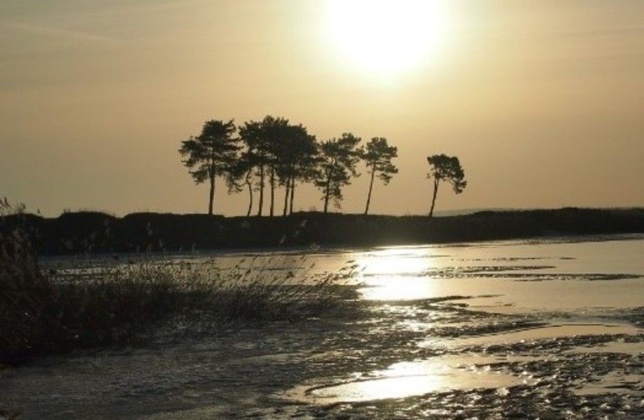Земельный участок на берегу Калининградского залива 