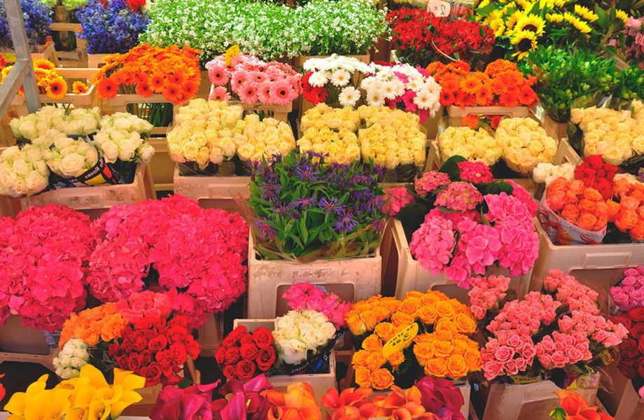 Магазин цветов/прибыль 40 тыс.руб.