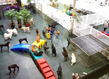 Фото Перспективная гостиница для домашних животных