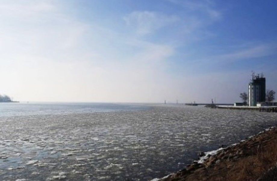 Земельный участок / на берегу Калининградского залива