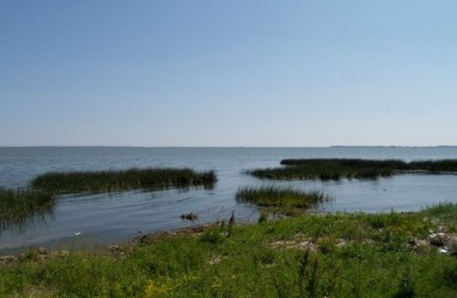 Земельный участок / на берегу Калининградского залива