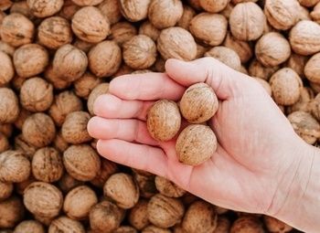 Фото Новый магазин сухофруктов по цене вложений
